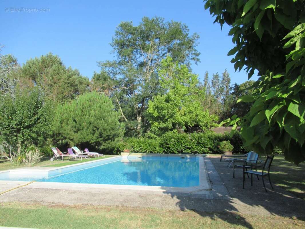 MAISON LANDAISE sur un parc arboré de 6200m2 avec sa piscine - photo 3