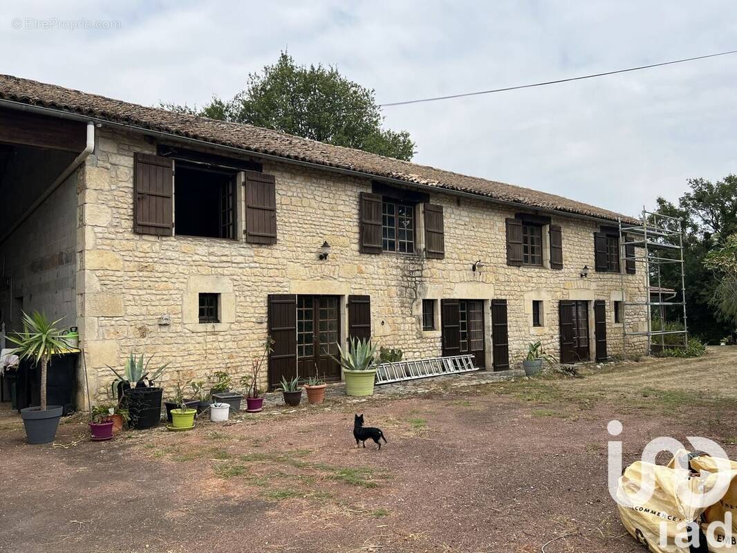 Photo 1 - Maison à MONTJEAN