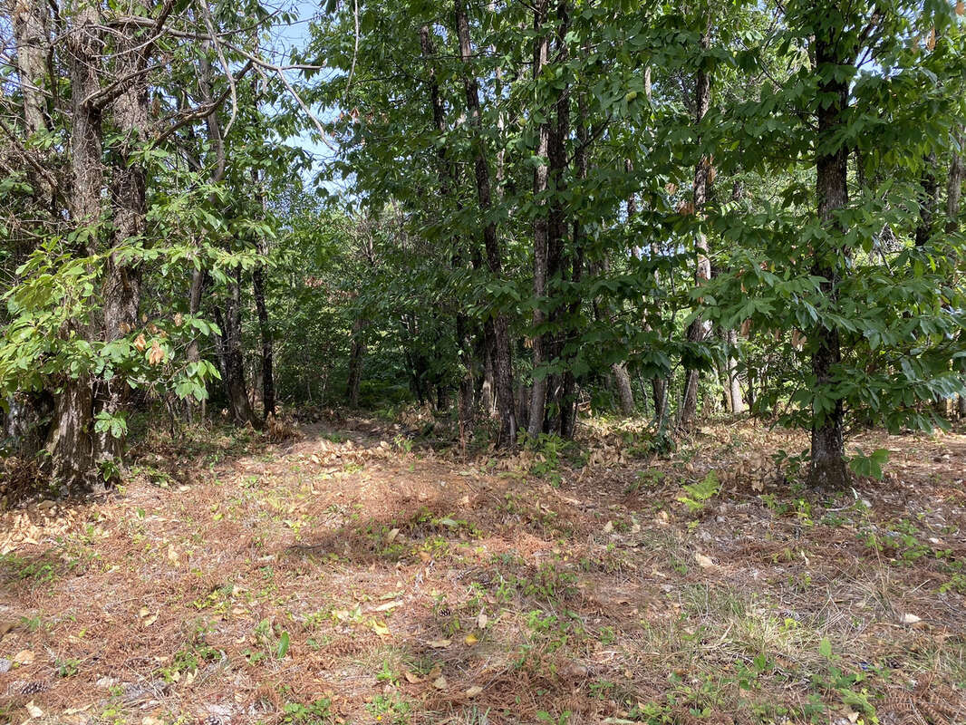 Terrain à CHANCELADE