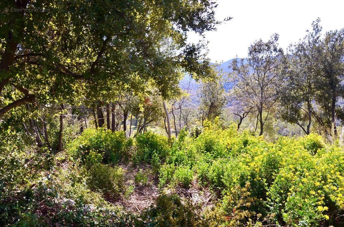 Terrain à LE TIGNET