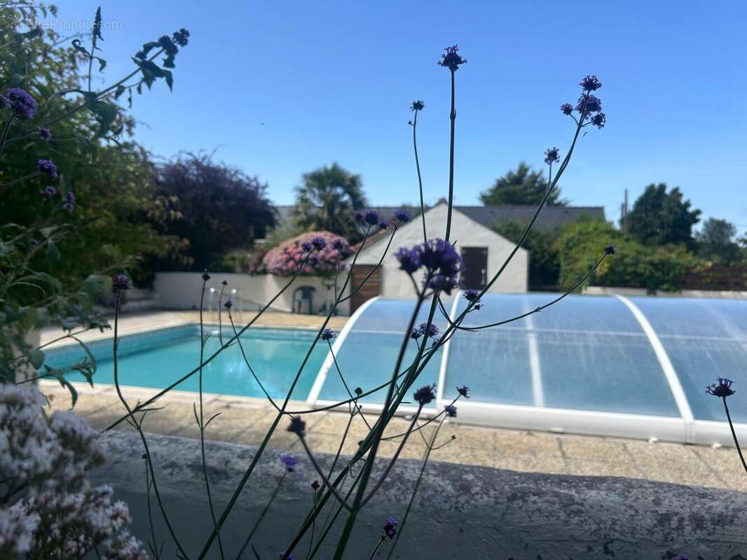 Photo 7 - Maison à PLESTIN-LES-GREVES