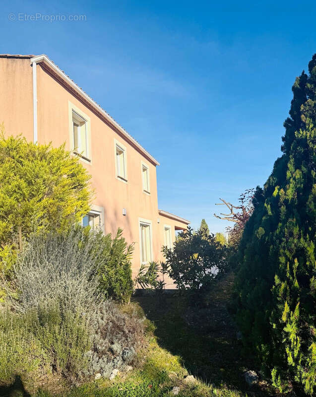 Facade Sud - Maison à LIOUC
