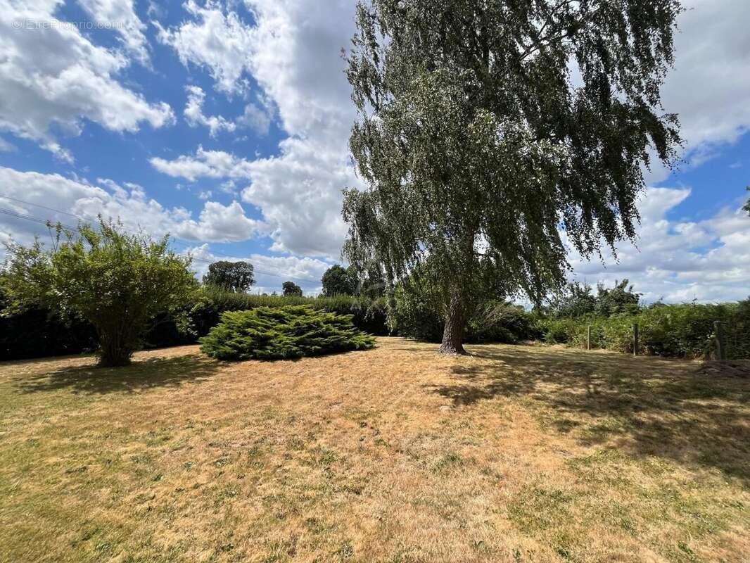 Maison 75 m² à Saint-Georges-De-Reintembault  - photo 10