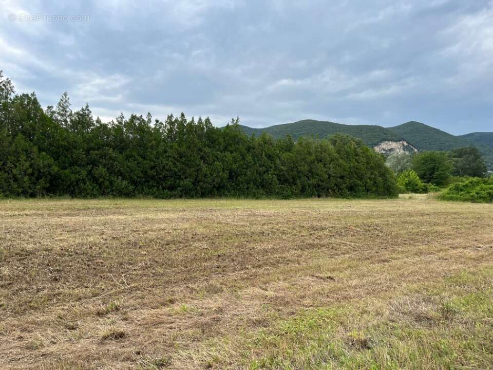 Terrain 342 m² à Cruas  - photo 3
