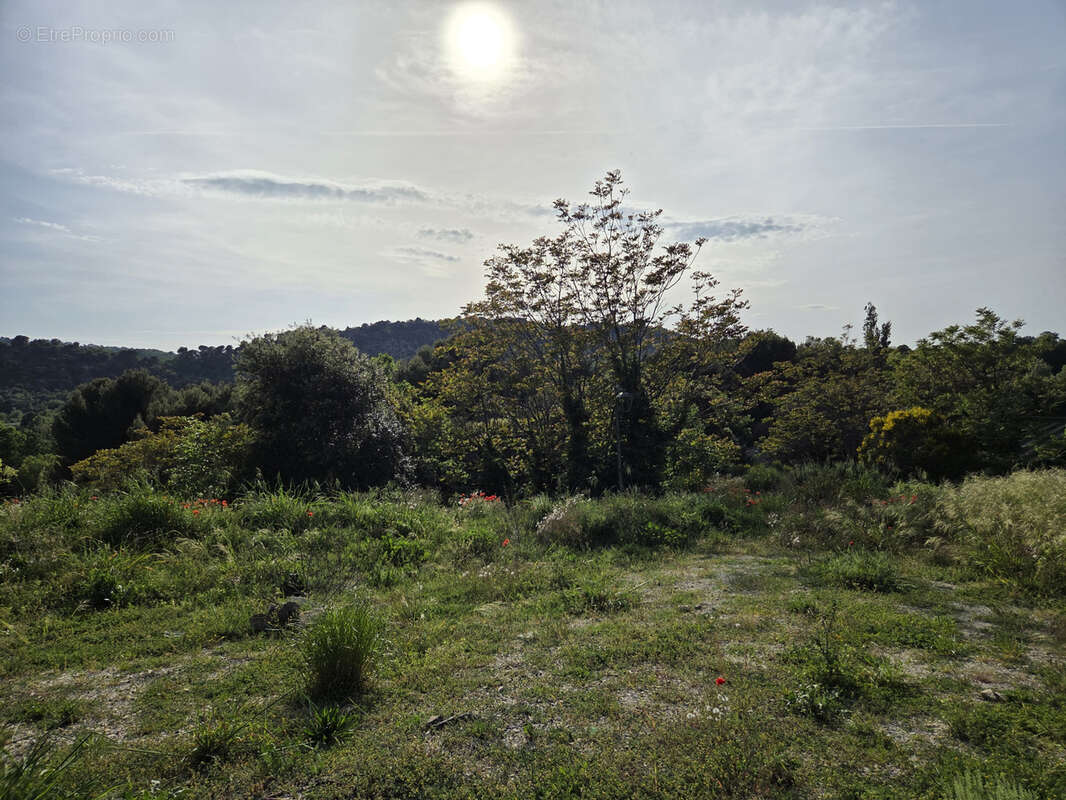 Terrain à VENTEROL