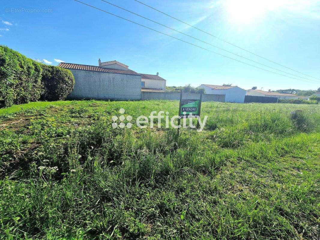 Terrain à SAINT-PIERRE-D&#039;OLERON