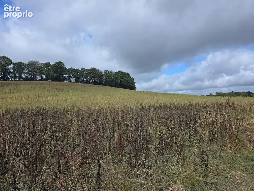 Longère en pierre de 140 m², terrasse de 54 m² et 4,56 hectares · Ploërdut - photo 18