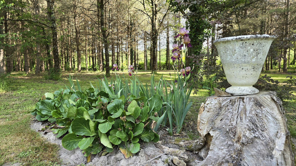 Maison à PRUNIERS-EN-SOLOGNE