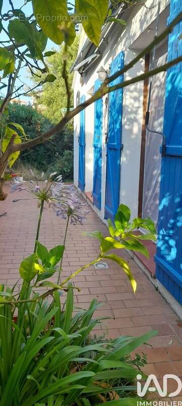 Photo 8 - Maison à BAIXAS