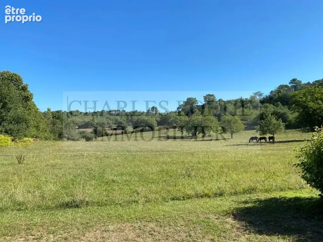  Très jolie maison en pierre avec grange aménagée et beau jardin - photo 31