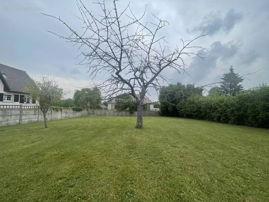 Terrain à THORIGNY-SUR-MARNE