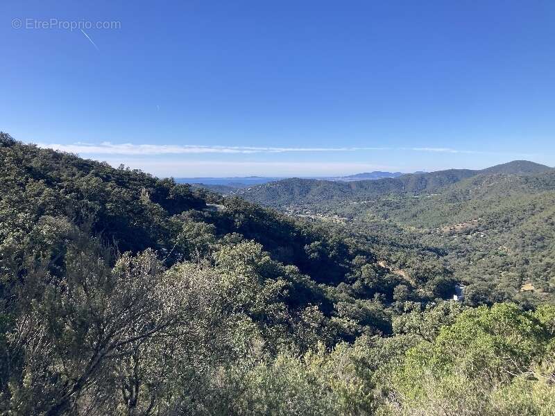 Terrain à BORMES-LES-MIMOSAS