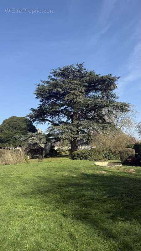 Maison à MONTOIRE-SUR-LE-LOIR