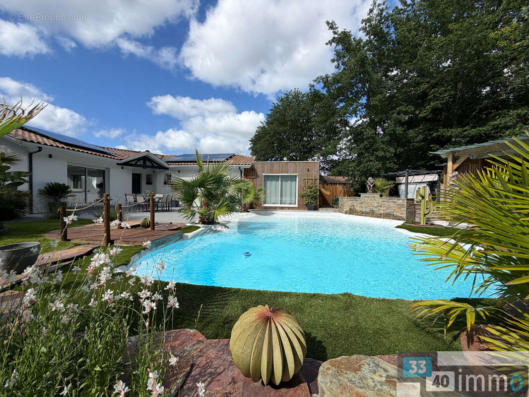 Maison avec piscine lagon et dépendance   belin-béliet - photo 11