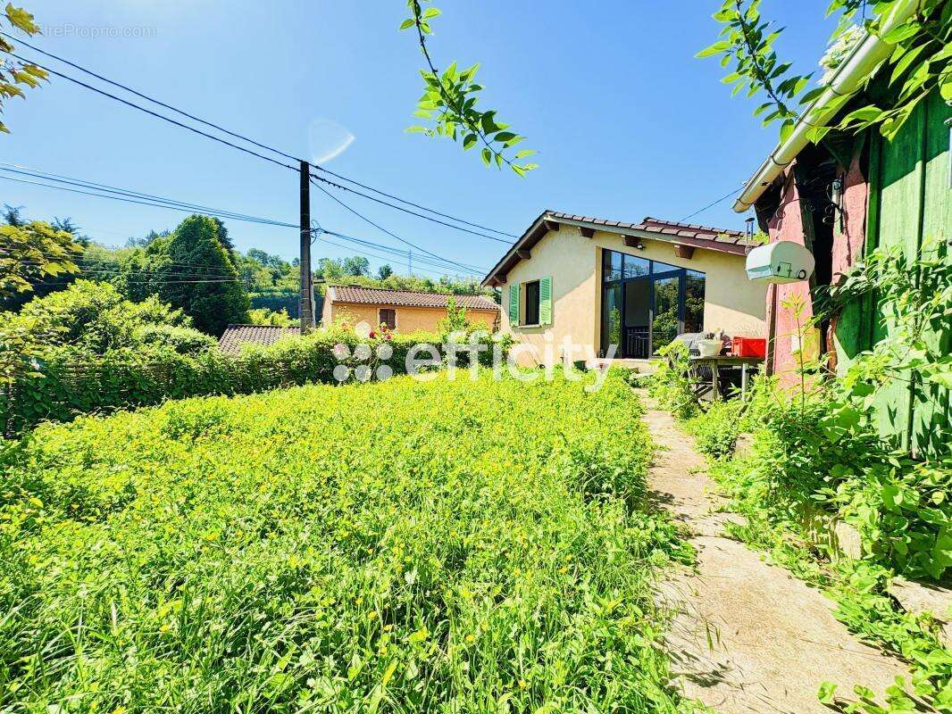 Maison à L&#039;ARBRESLE