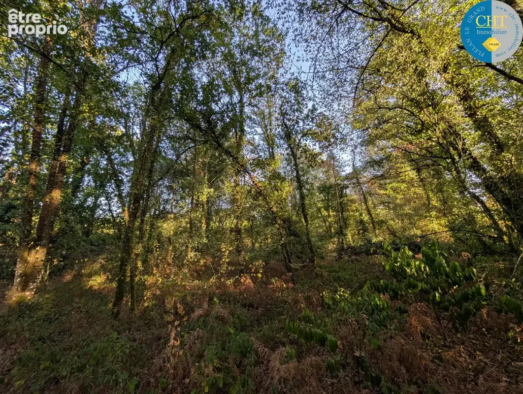 Terrain 9420 m² · à Guer · 12 100 €