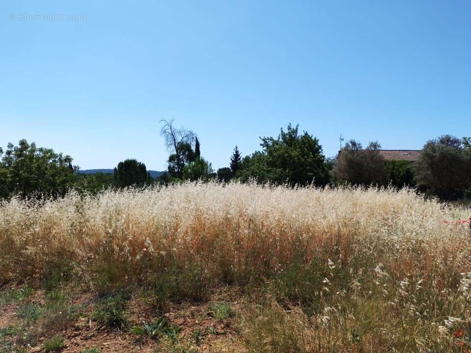 Terrain 628 m² à Lorgues  - photo 8