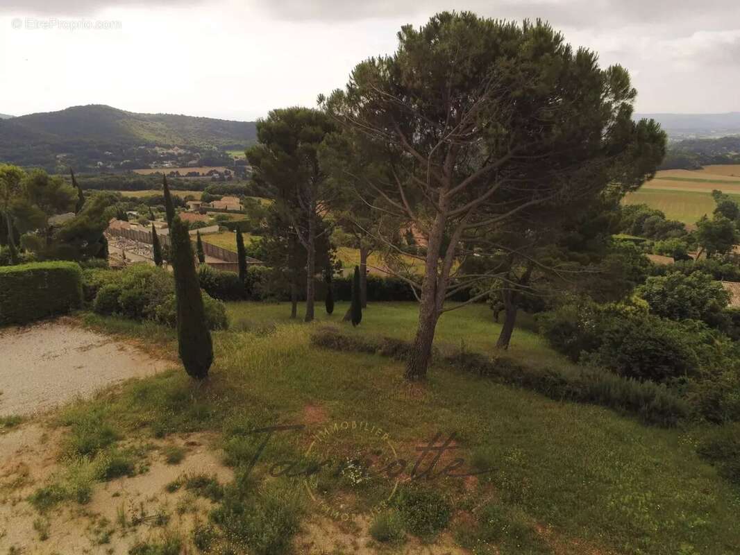 Terrain - 10455 - photo 2
