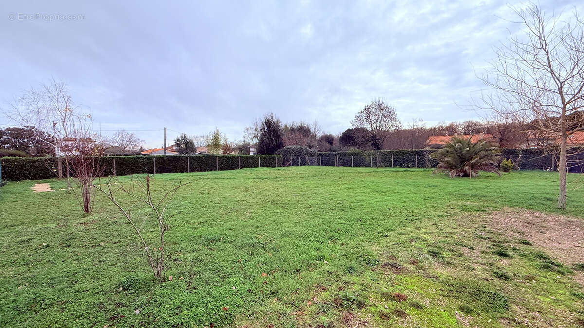 Terrain à PLAISANCE-DU-TOUCH