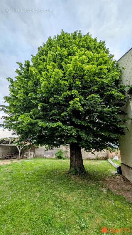 Photo 9 - Maison à AVOINE