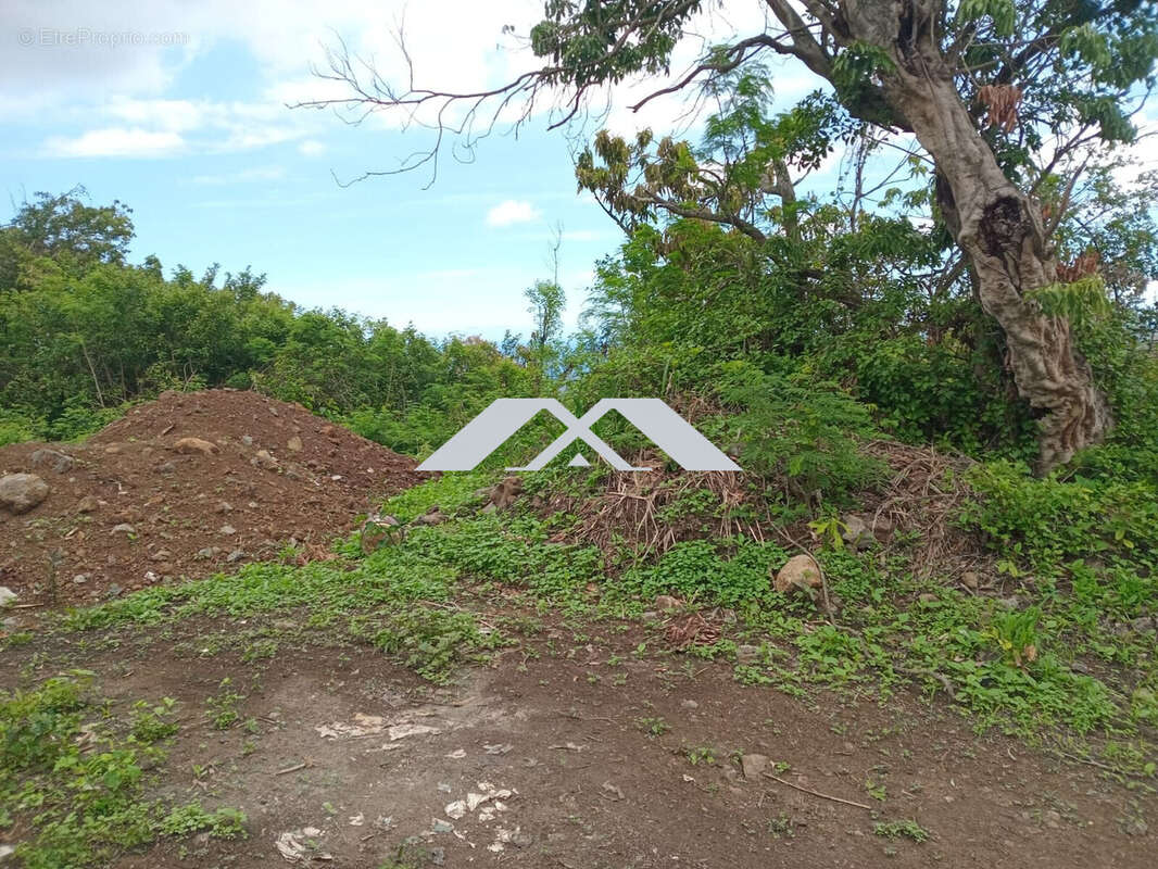 Terrain à SAINT-PAUL