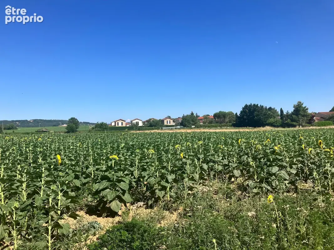 Terrain à bâtir 415 m2 - Cheyssieu - photo 2