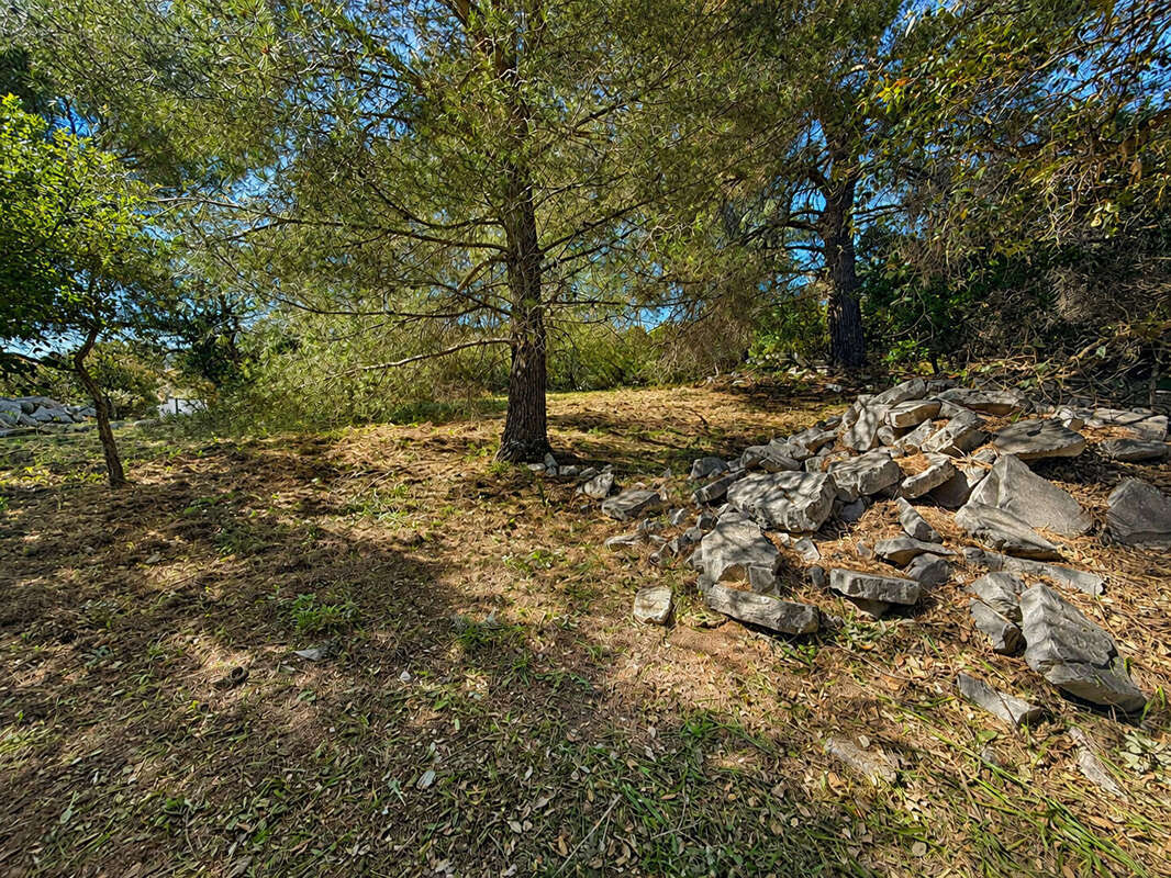 Terrain Les Issambres 1500 m2 - Aperçu mer - photo 3