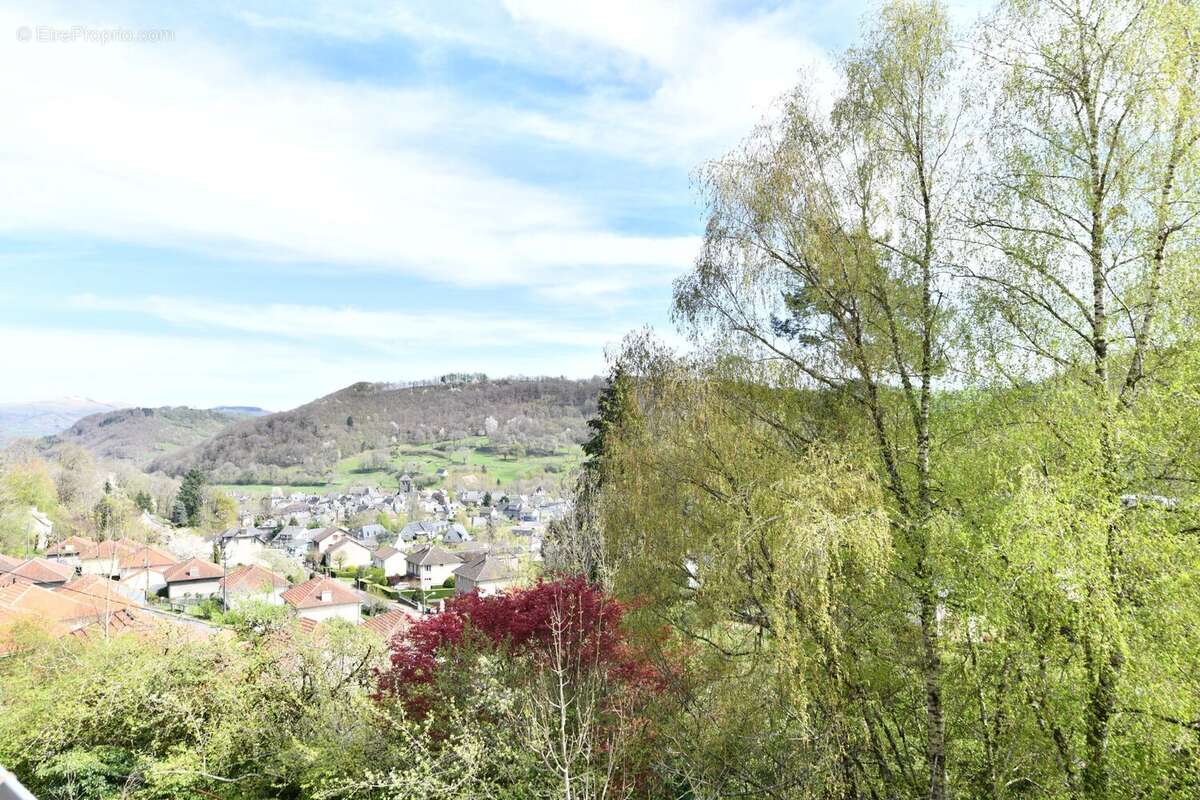 Maison à SAINT-MARTIN-VALMEROUX