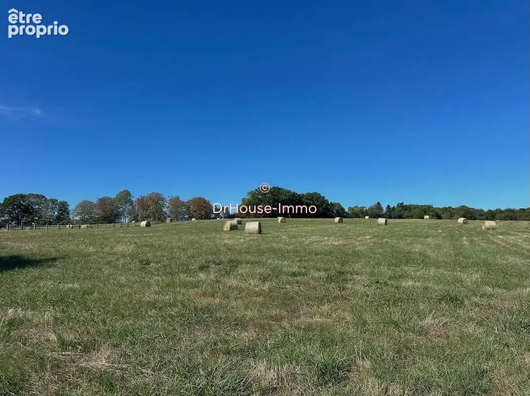 Maison 6 pièces 340 m² à vendre à Mortagne-Au-Perche (61400) - photo 3
