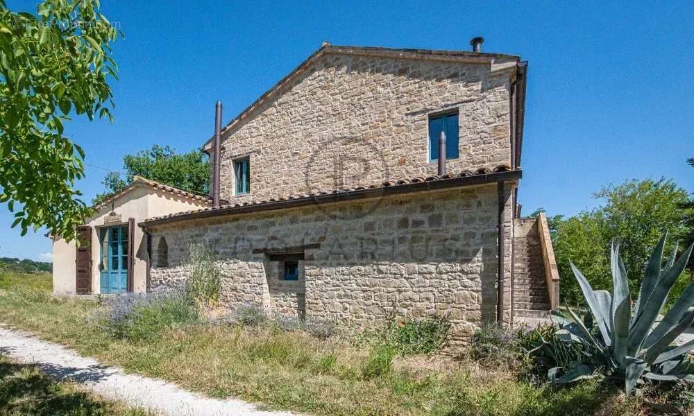 Ferme avec appartements, laboratoire de transformation et boutique à la ferme — Le Marche - photo 19