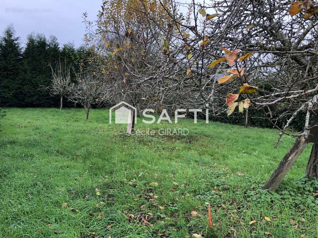 Photo 3 - Terrain à BADEN