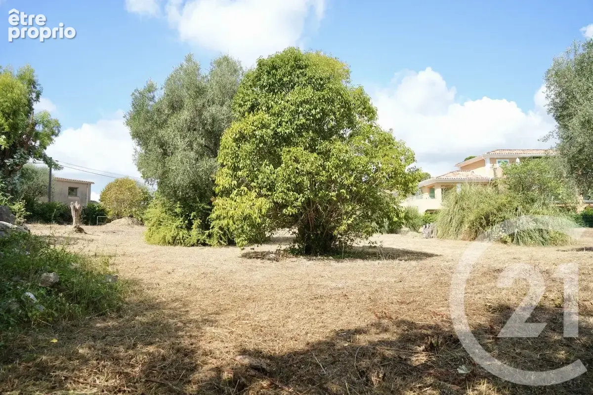 Terrain 2513 m² à Roquefort-Les-Pins  - photo 7