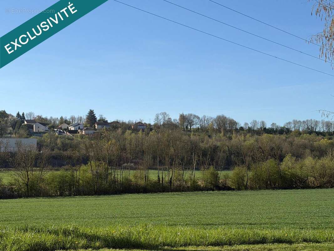 Photo 8 - Appartement à VERDUN