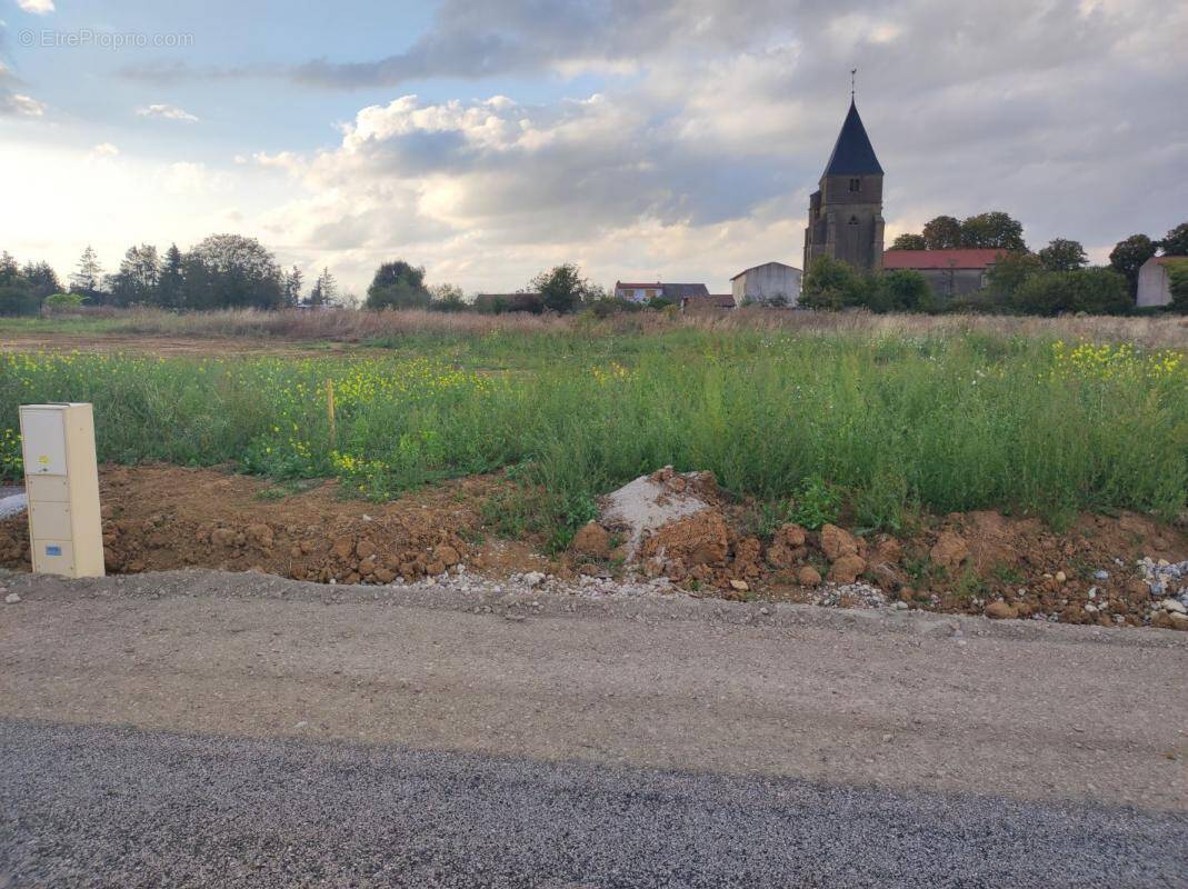 Terrain à SAINTE-BARBE
