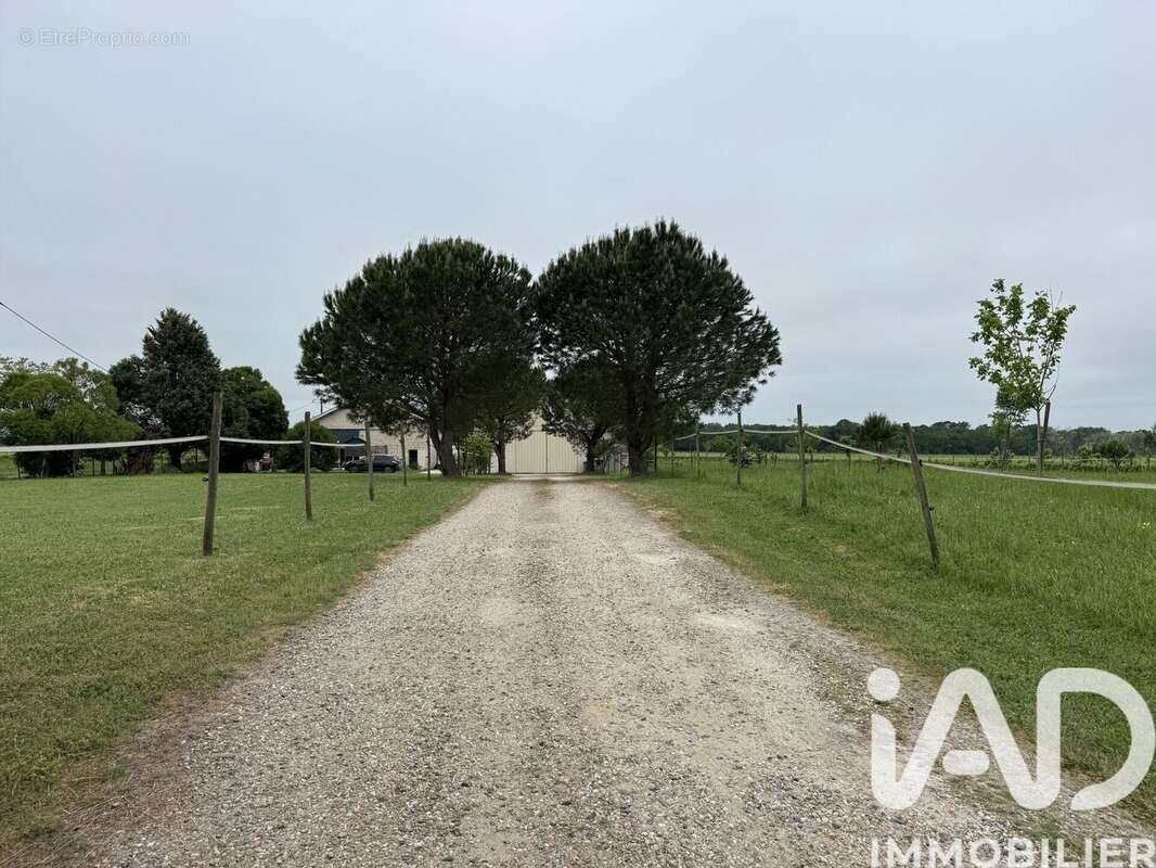 Maison 96 m² à Saint-Sulpice-De-Pommiers  - photo 2