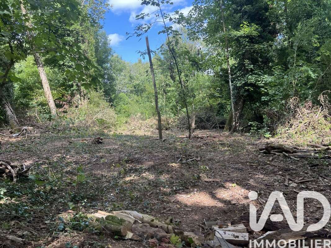 Photo 3 - Terrain à PONT-A-MOUSSON