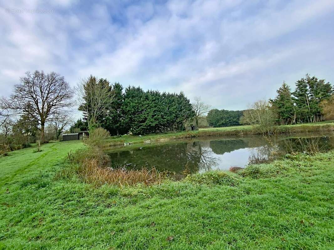 Terrain à AVRILLE-LES-PONCEAUX