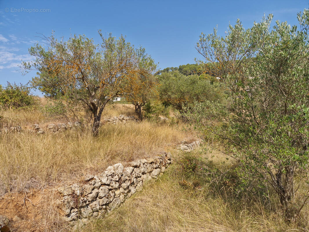 Terrain à LORGUES