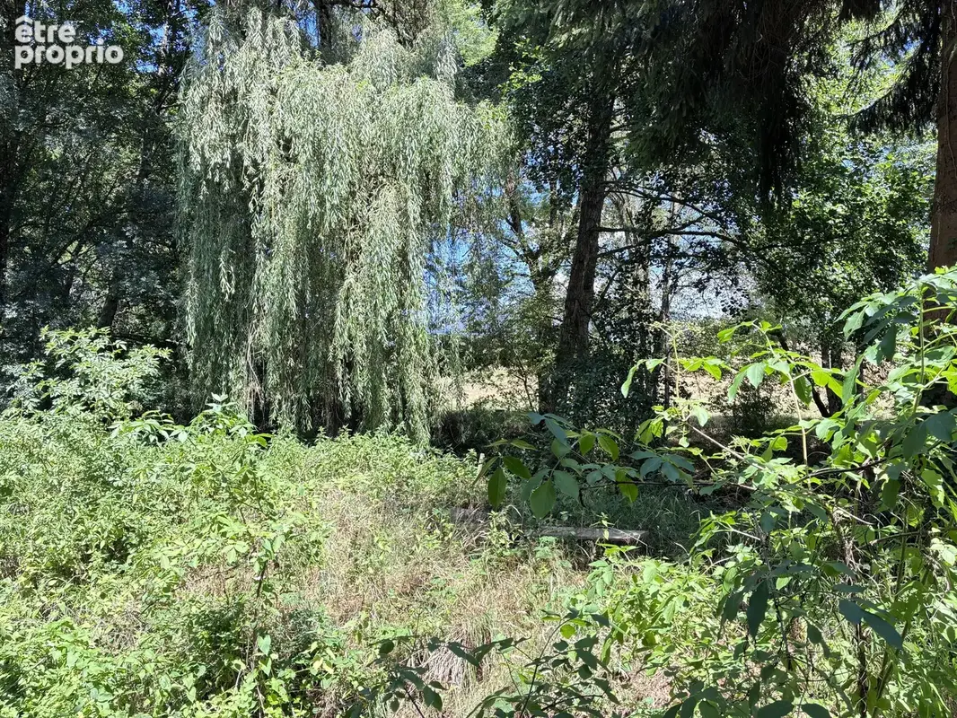 Superbe moulin rénové dans un cadre enchanteur - photo 17