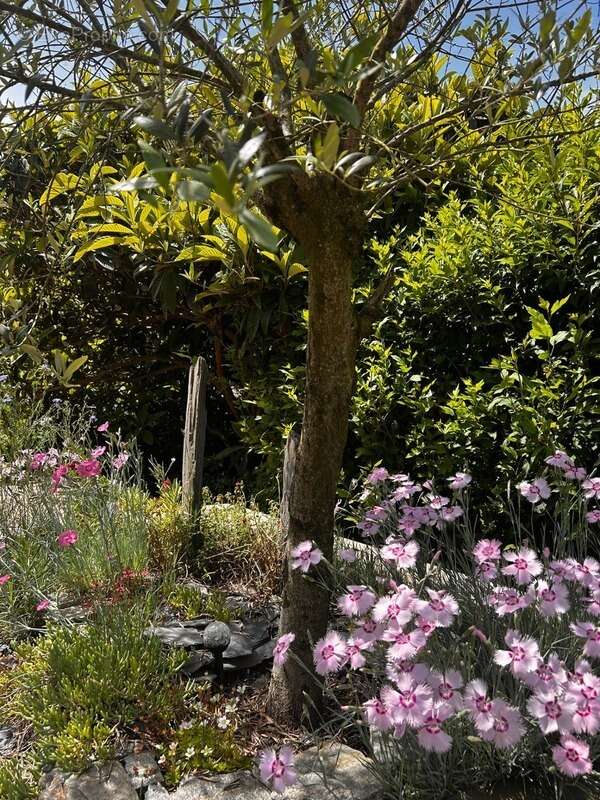 Maison à GRESY-SUR-AIX