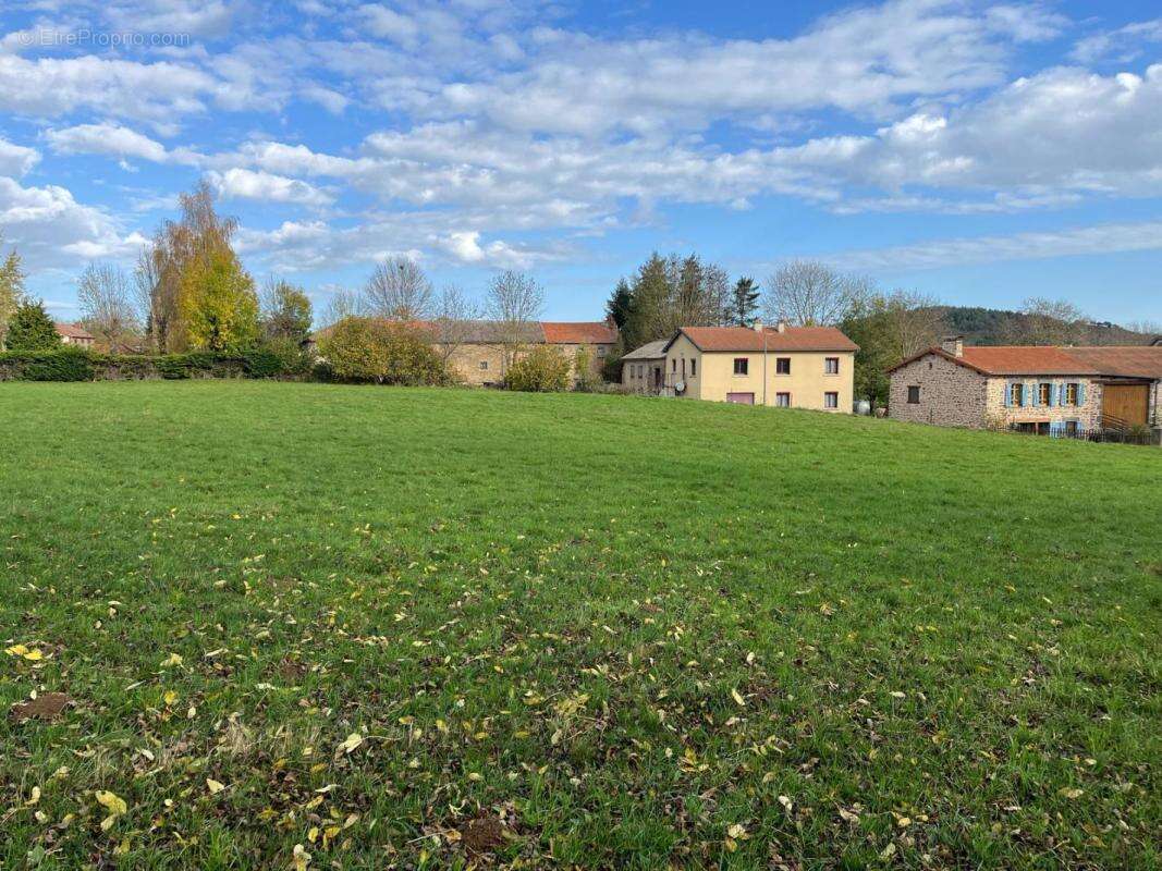 Terrain à SAINT-MARY-LE-PLAIN