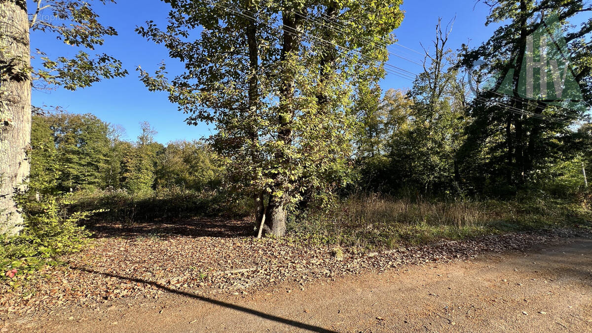 Terrain à CHEROY