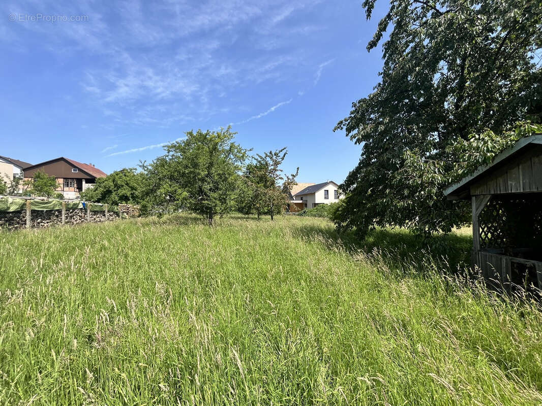 Folgensbourg au calme terrain constructible de 14,80 ares - photo 3