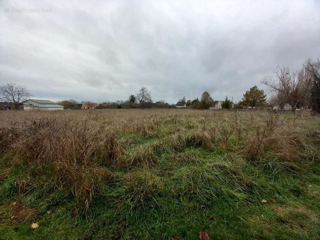Maison à SOUGY-SUR-LOIRE