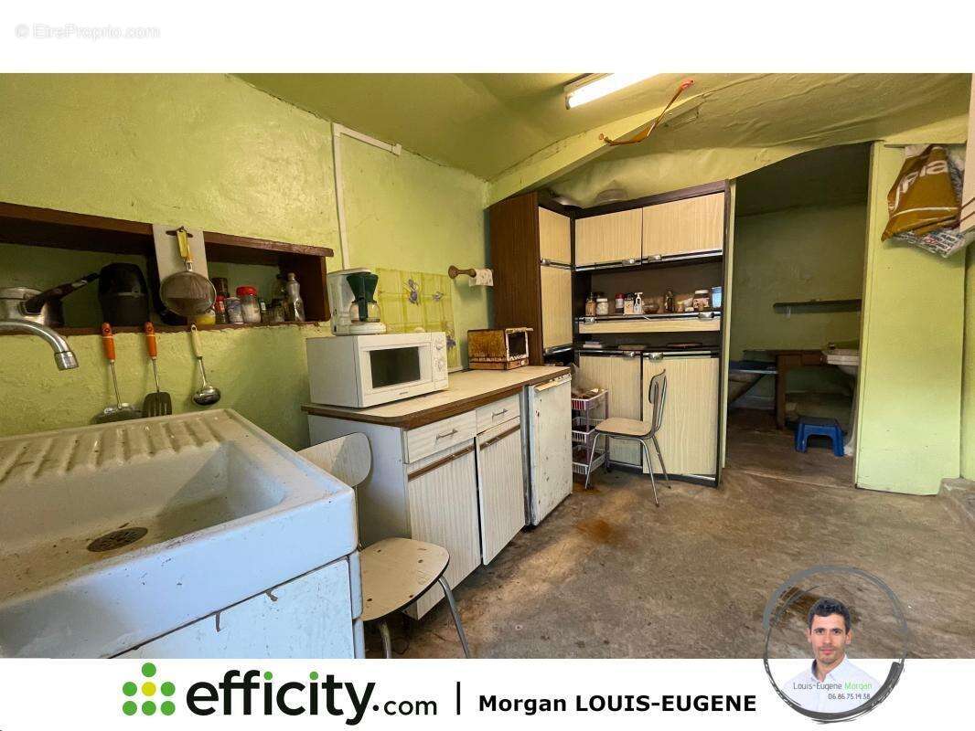 Maison 259 m² à Saint-Secondin  - photo 4