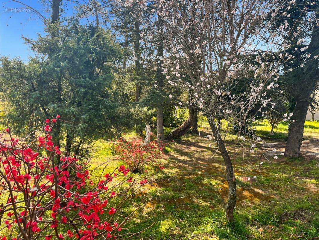Maison à SAINT-MICHEL-D&#039;EUZET