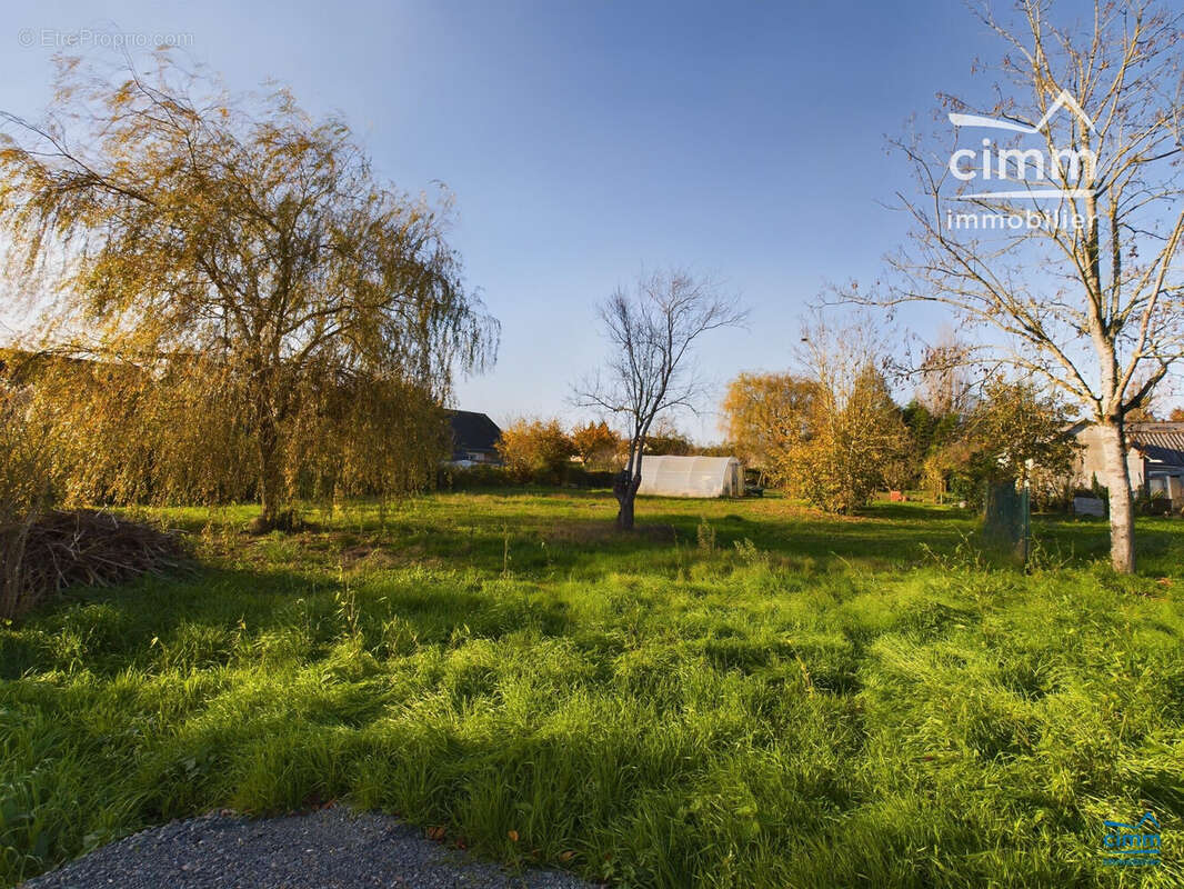 Terrain à LONGUE-JUMELLES