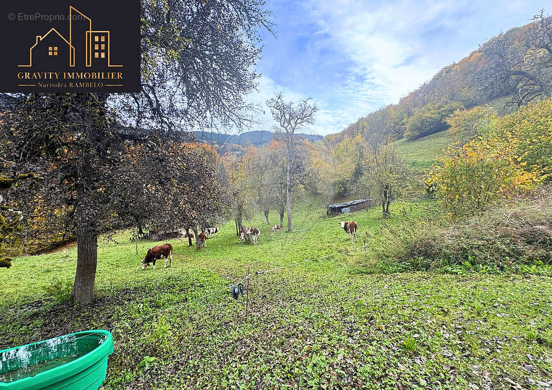 Maison à ARACHES-LA-FRASSE