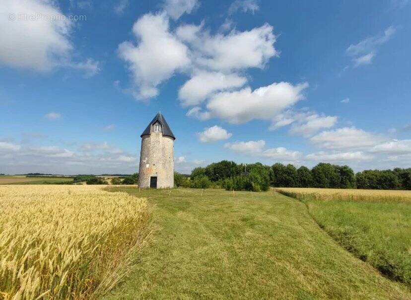 Maison à LOIRE-SUR-NIE