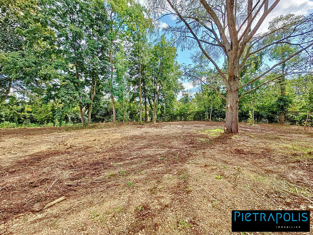 Terrain à LA CHAPELLE-DE-GUINCHAY